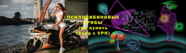 сатива Пролетарск