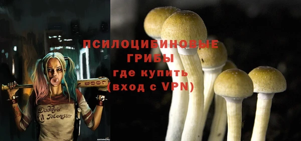 ГАЛЛЮЦИНОГЕННЫЕ ГРИБЫ Абаза