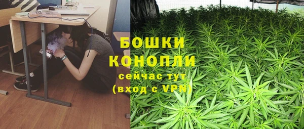 ГАЛЛЮЦИНОГЕННЫЕ ГРИБЫ Абаза