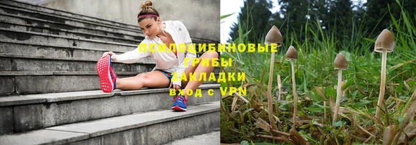 ГАЛЛЮЦИНОГЕННЫЕ ГРИБЫ Абаза