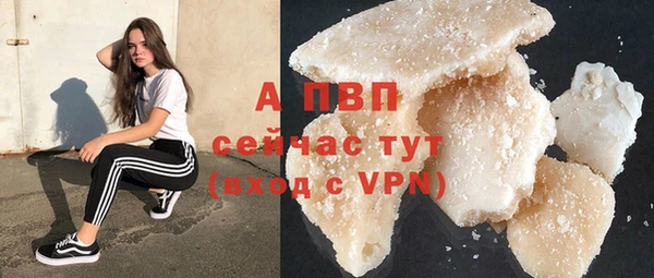 сатива Пролетарск