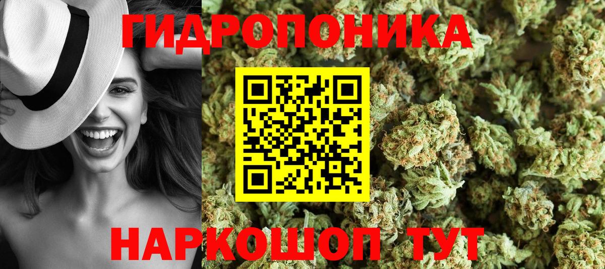 МАРИХУАНА сатива Анапа